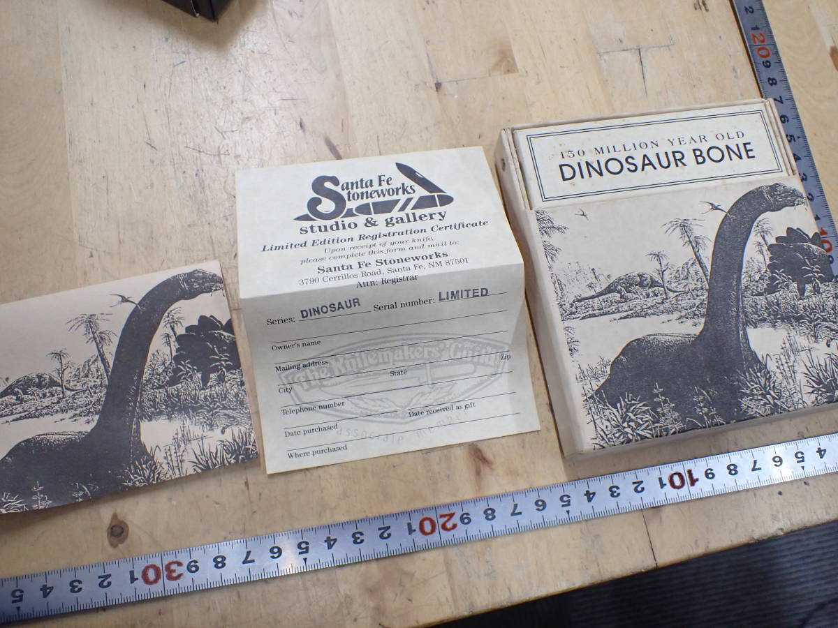 『V21B』カラミス　ディノザウルス DINOSAUR BONE カミュラス　DINO LTD USA 恐竜 Santa Fe Stoneworks_画像1