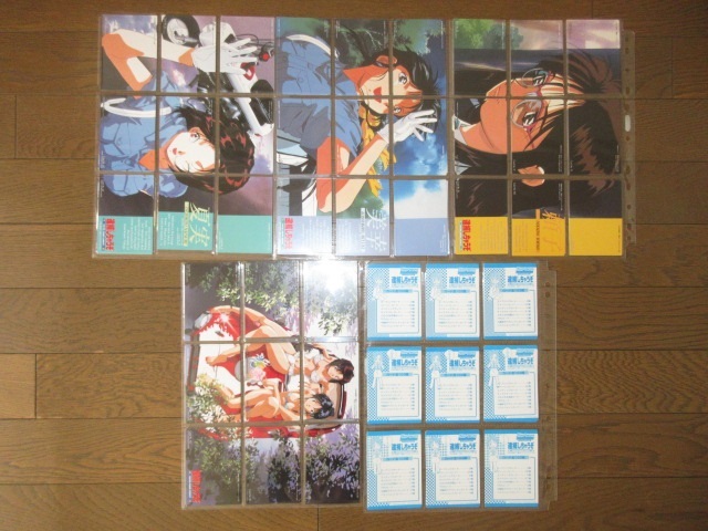 243枚 全103種の内101種 逮捕しちゃうぞ セミフルコンプ アマダ 243枚 全103種の内101種 逮捕しちゃうぞ セミフルコンプ アマダ