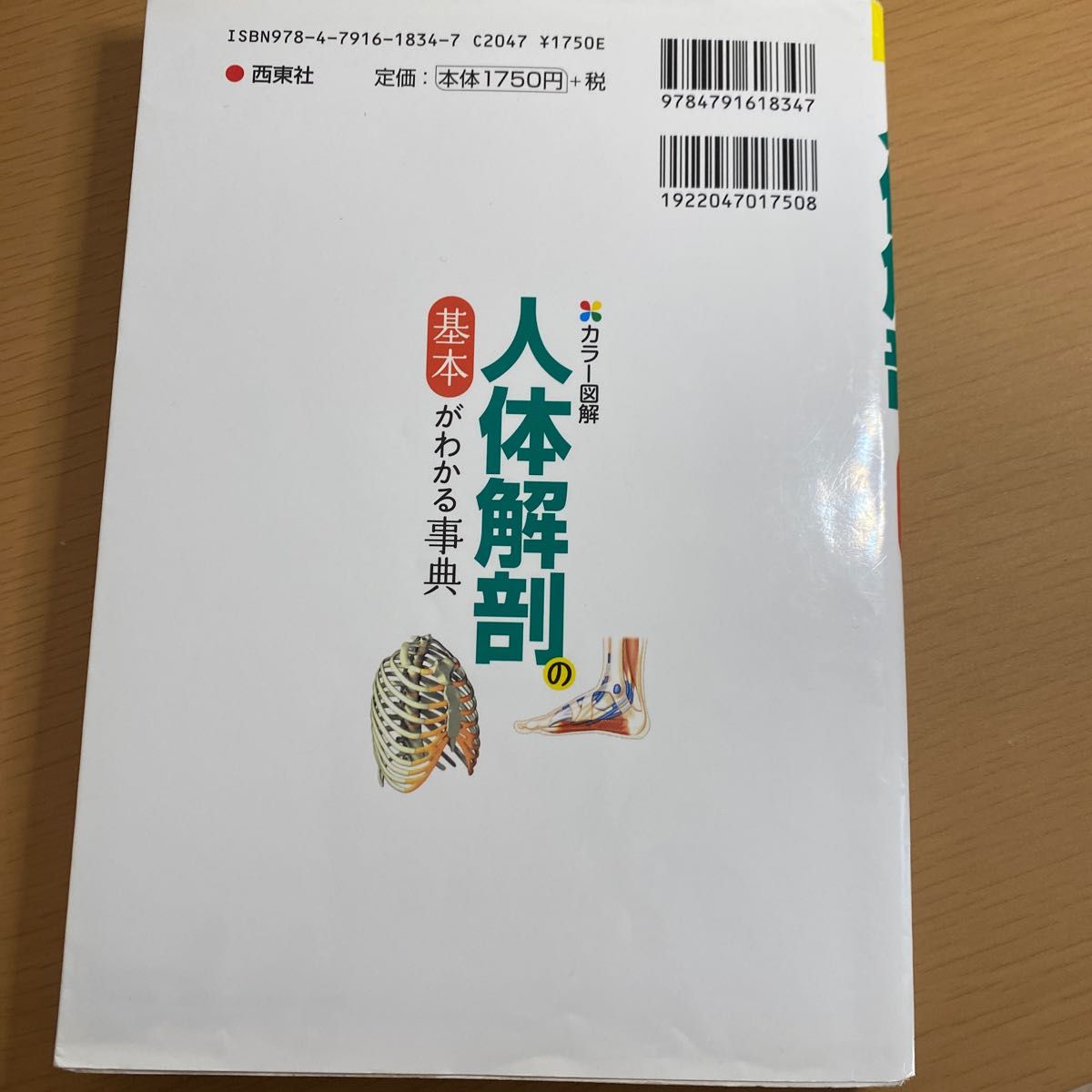 人体解剖の基本がわかる事典　カラー図解 竹内修二／監修