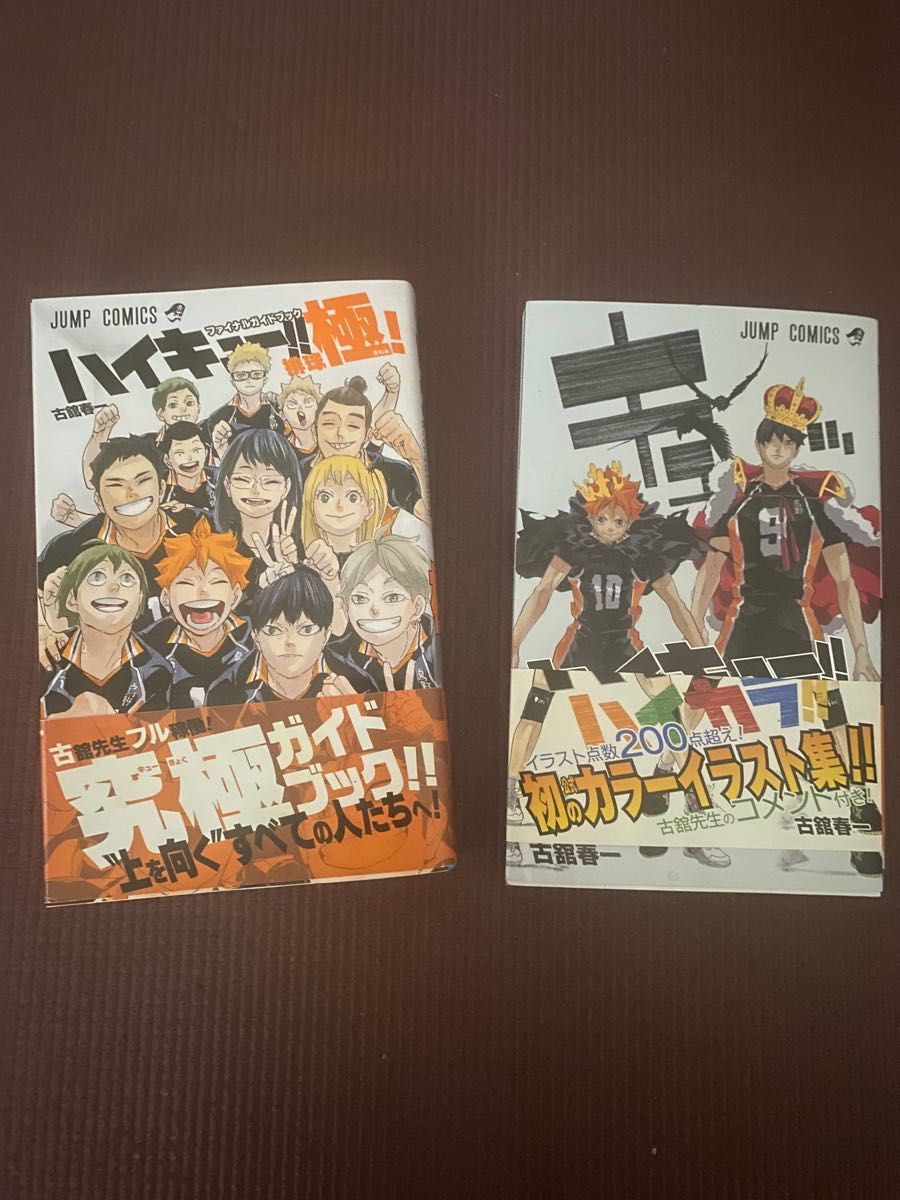 ハイキュー ファイナルガイドブック 排球極 ハイカラ 2冊セット