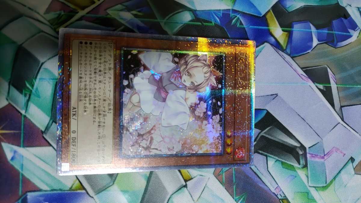 については 遊戯王 レアリティコレクション 灰流うらら 25thクォーター