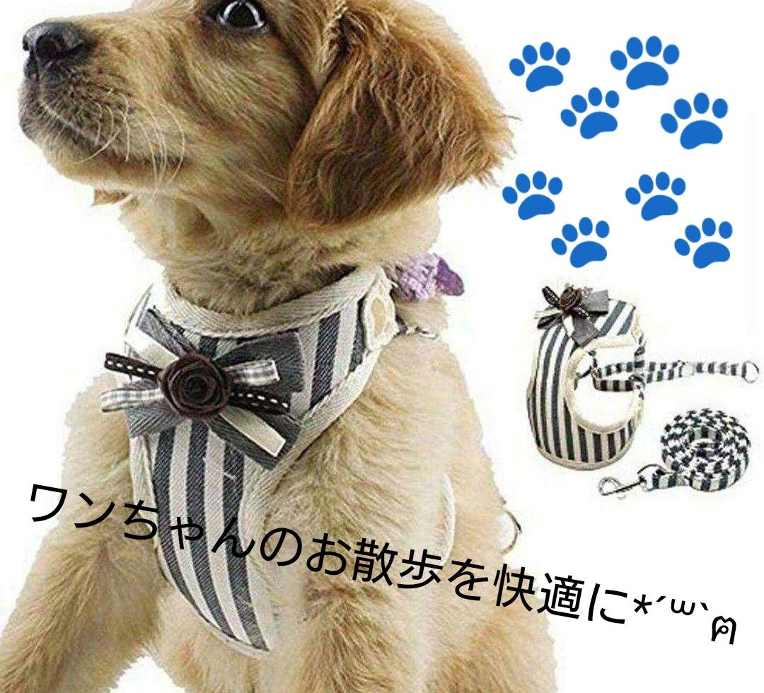 値下げ】 Lサイズ ハーネス 首輪 犬 いぬ お散歩 さんぽ お出かけ