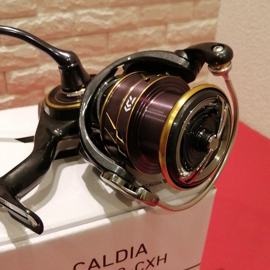 新品 21 ダイワ(DAIWA) カルディアLT 【4000-CXH】 スピニングリール フィッシング シーバス ライトショアジギング サーフ SLJ サクラマス_画像3