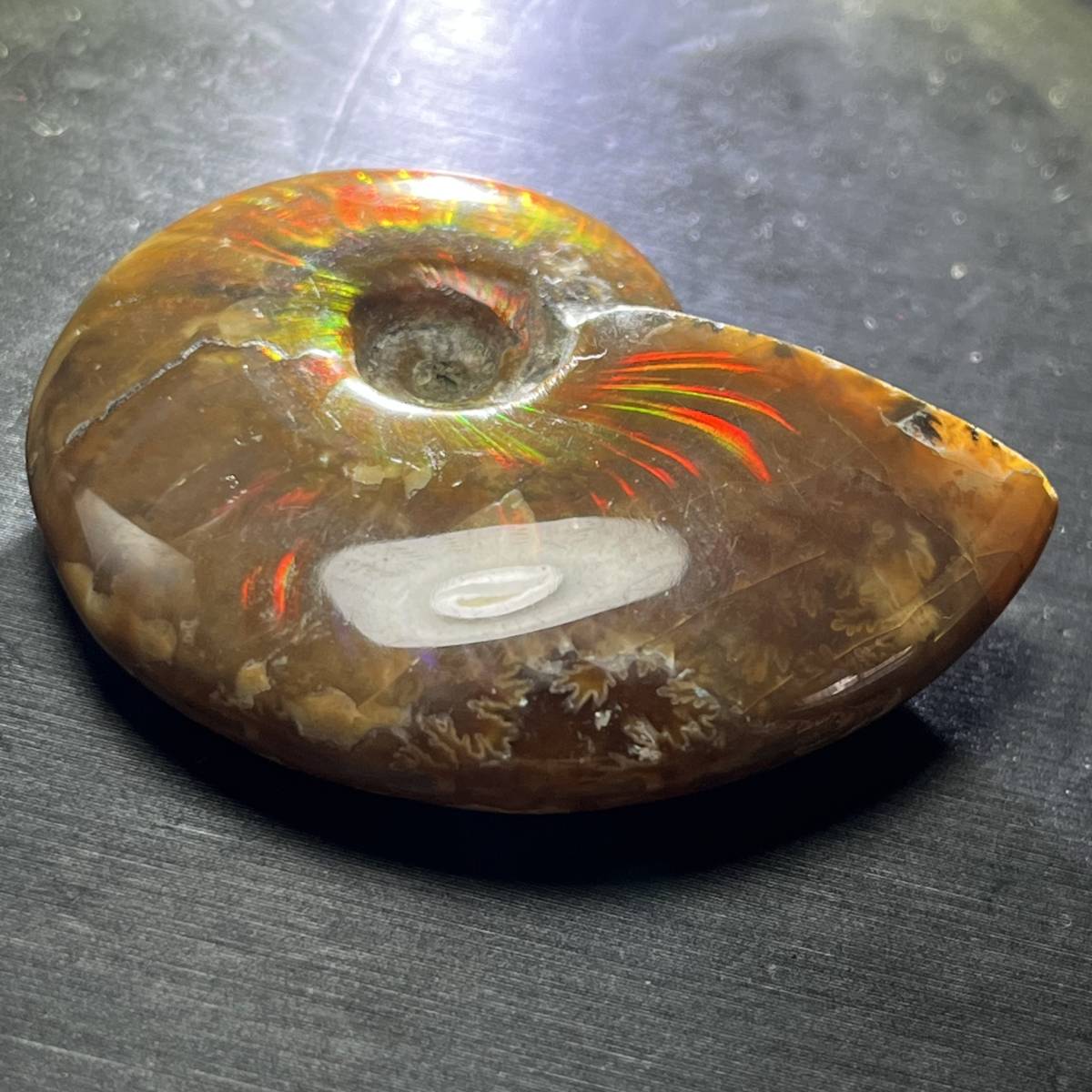 アンモナイト 化石 マダガスカル産 風水 幸運 美しい遊色 虹色の発色 標本 鉱物 天然石 菊石22.8g/CL-14_画像5