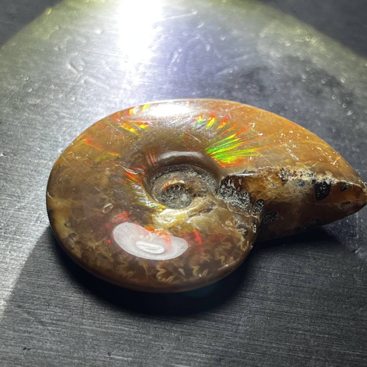 アンモナイト 化石 マダガスカル産 風水 幸運 美しい遊色 虹色の発色 標本 鉱物 天然石 菊石22.8g/CL-14_画像7