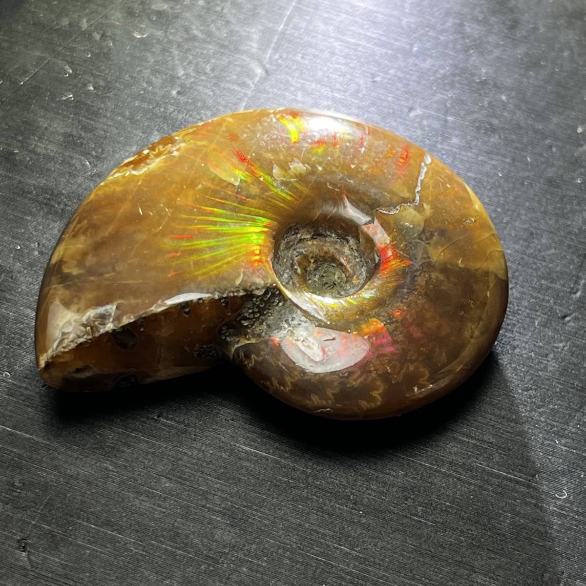 アンモナイト 化石 マダガスカル産 風水 幸運 美しい遊色 虹色の発色 標本 鉱物 天然石 菊石22.8g/CL-14_画像1