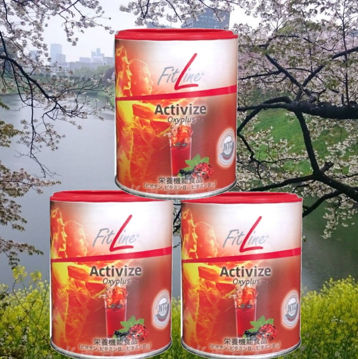 本日特価】 ドイツPM アクティヴァイズ5缶セット 25%増量 FITLINE