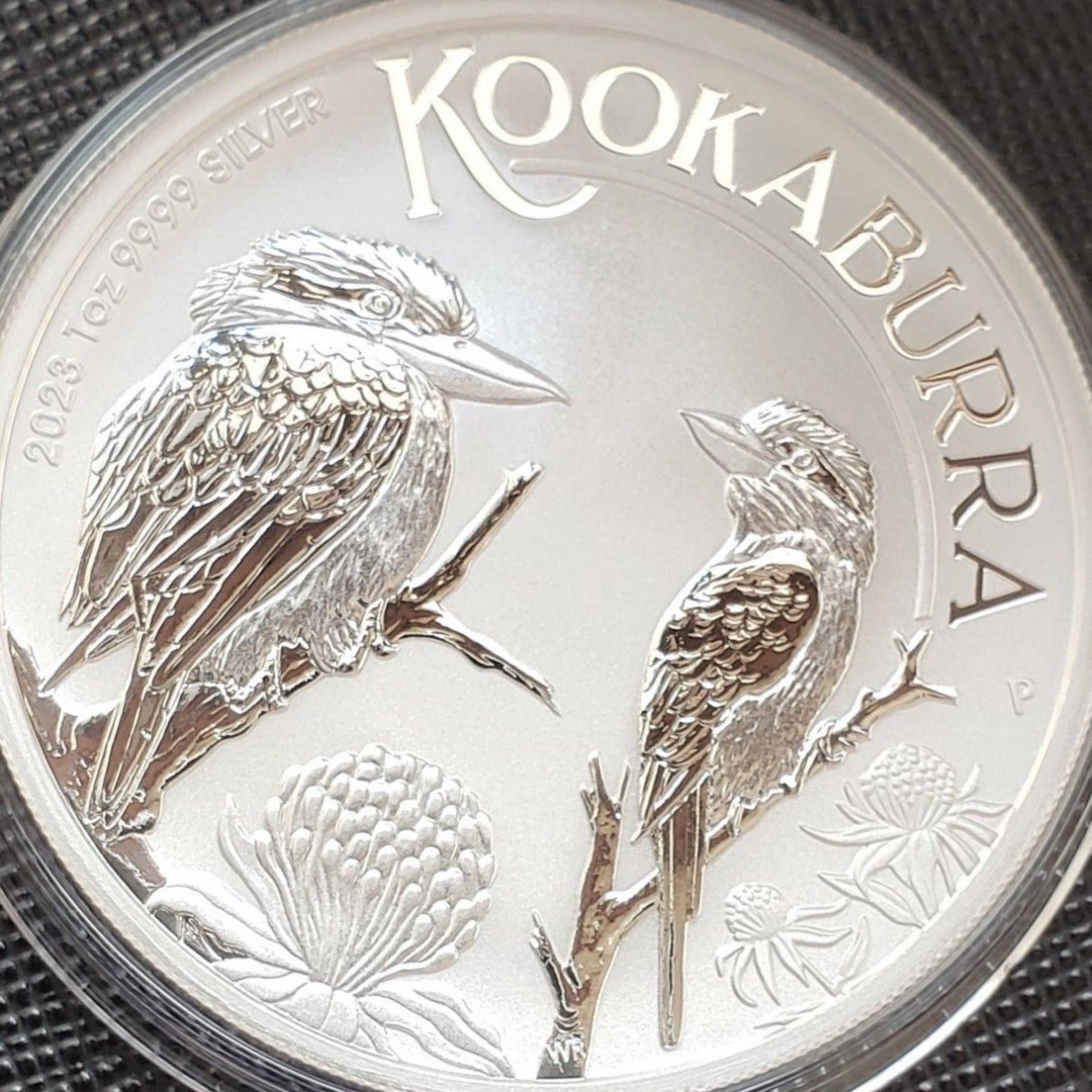 ☆お買い得カワセミ2枚セット 最新作! 2023年 カワセミ 新品未使用