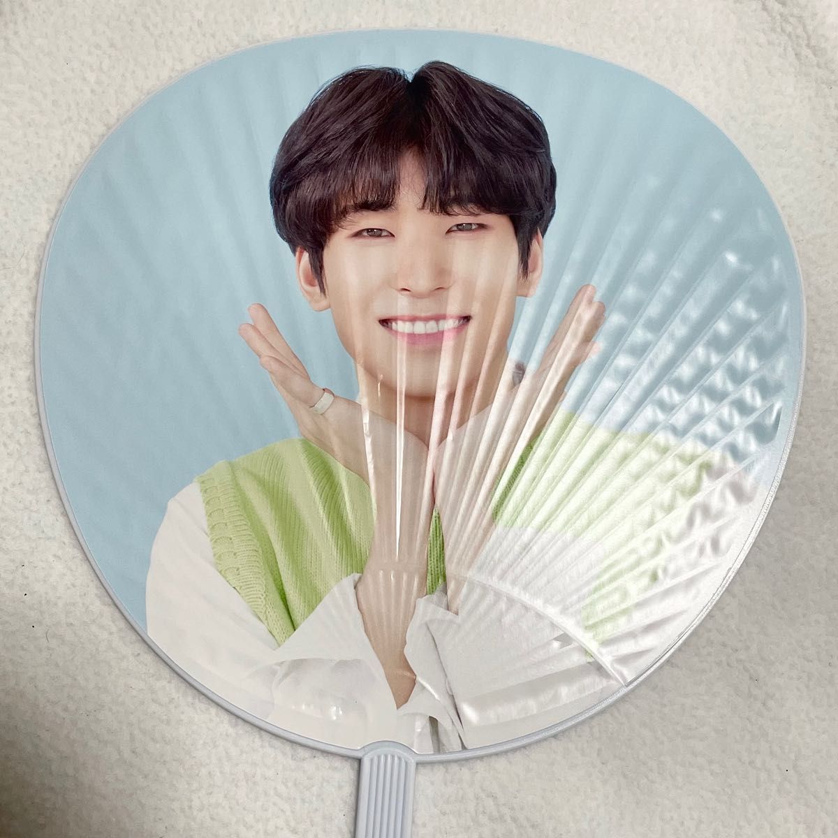 SEVENTEEN ウォヌ うちわ まとめ売り