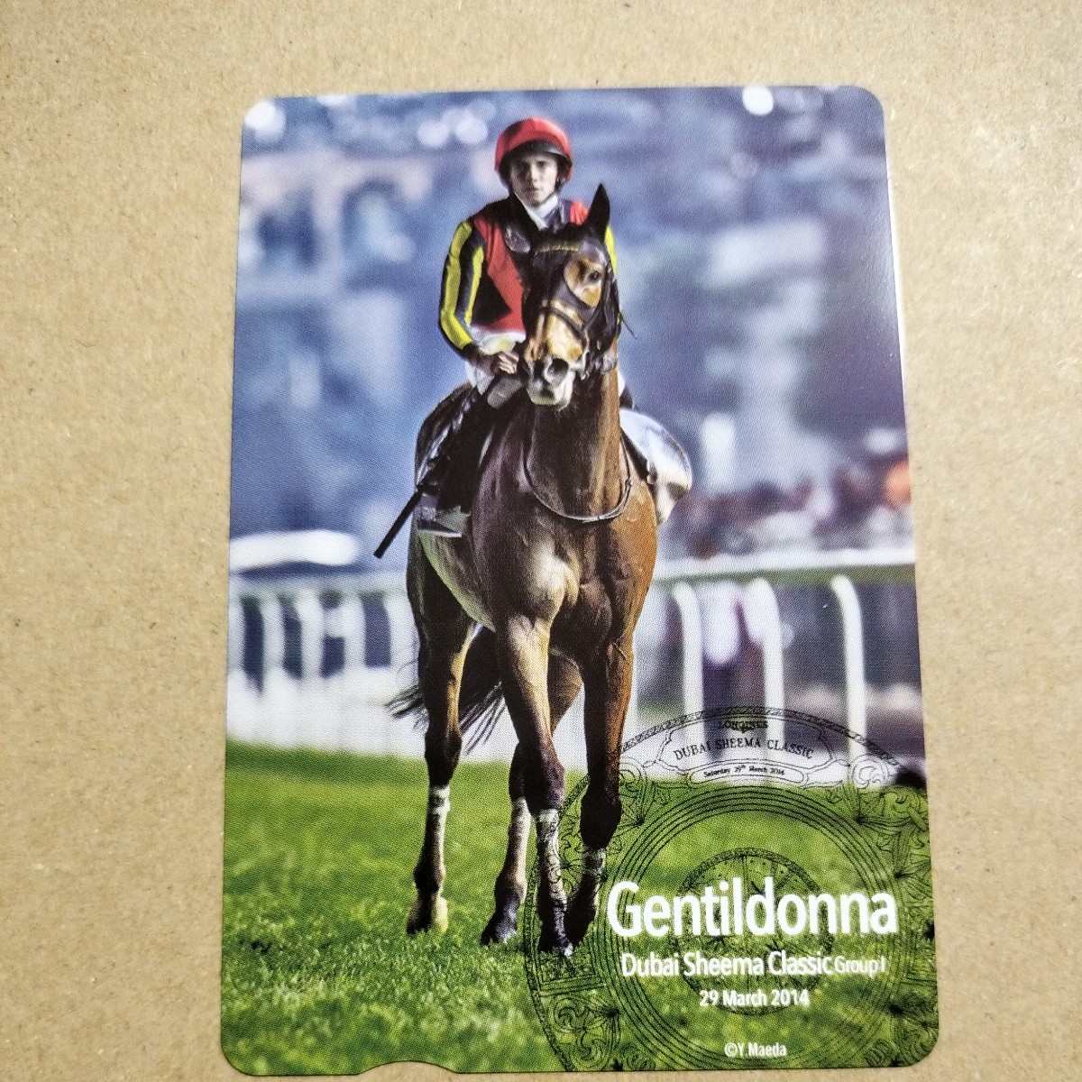 ジェンティルドンナ/2014 DUBAI SHEEMA CLASSIC】-