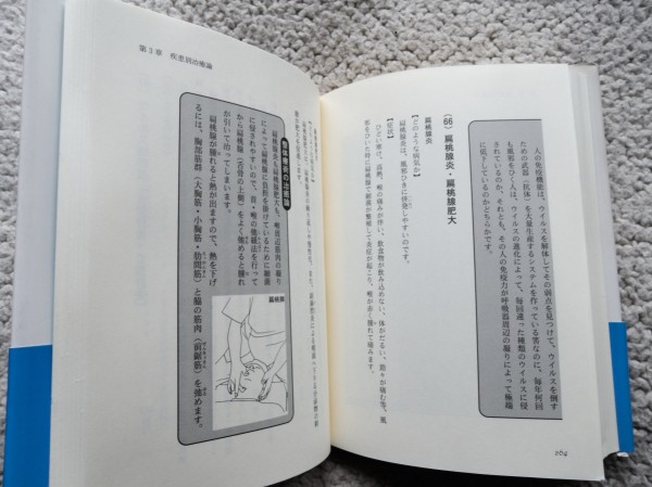 今、注目されている整体療術!!その治癒力 現代医療の弱点を補い免疫力を高めて改善する整体療術 (新風書房) 丸井 源由_画像4