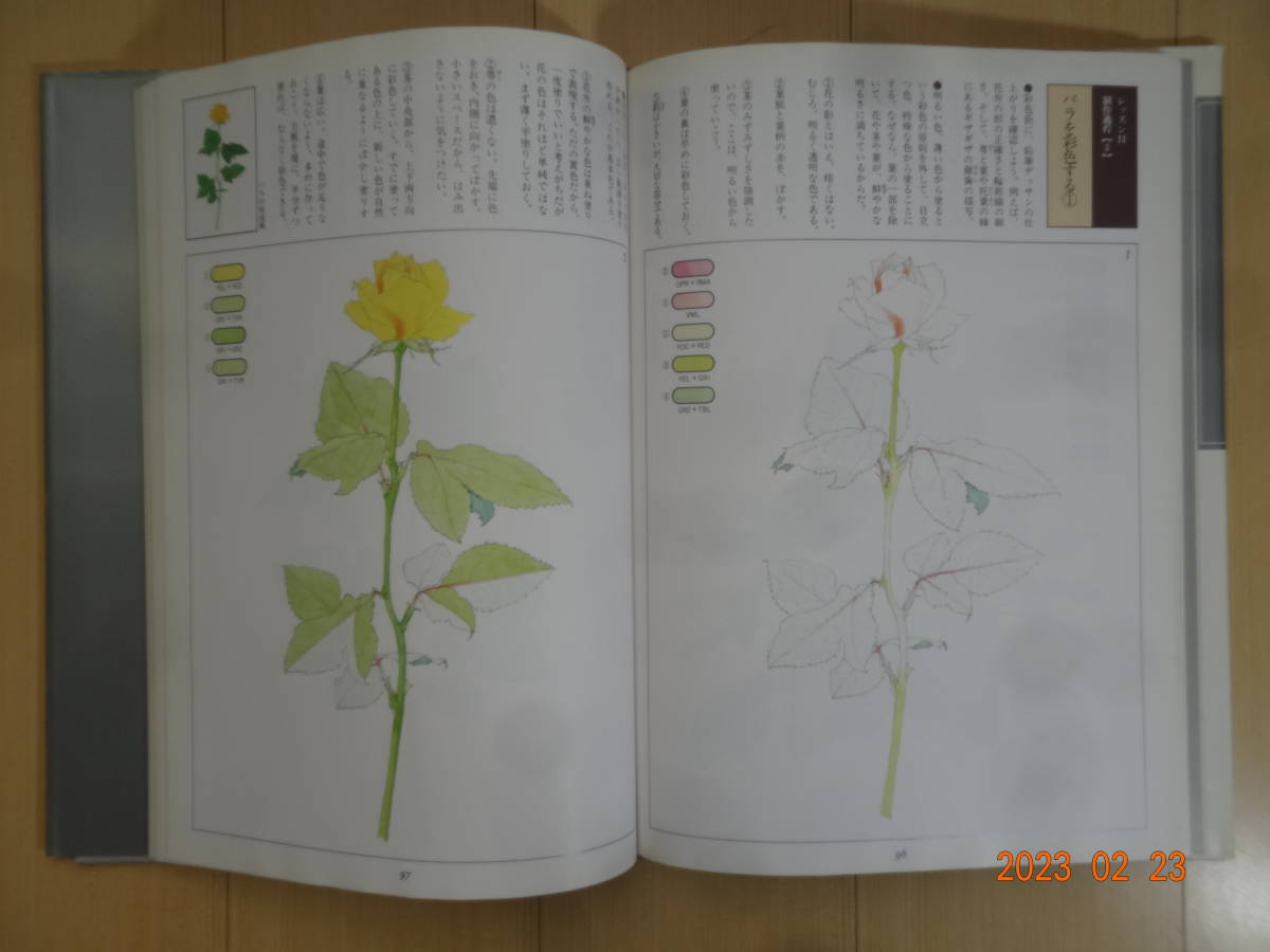 入門 植物画の描き方 西村俊雄 定価３０００円_画像4