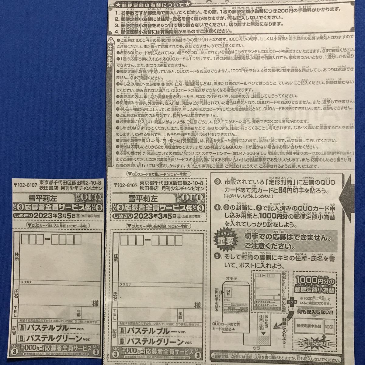 SALE/102%OFF】 10枚 応募券 雪平莉左 チェキ 抽選プレゼント 月刊