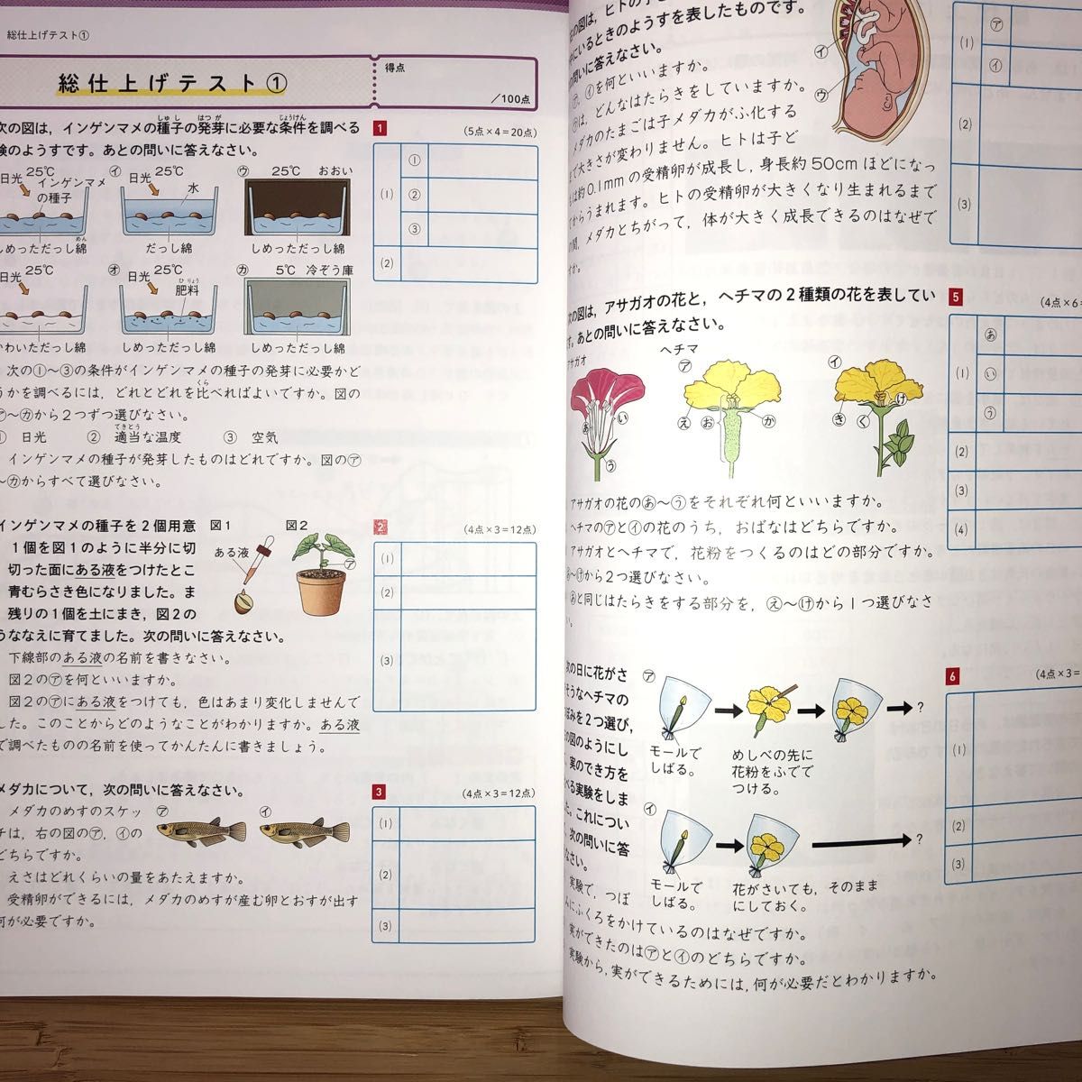 最新版】 小学 ウィンパス 理科 小5｜Yahoo!フリマ（旧PayPay