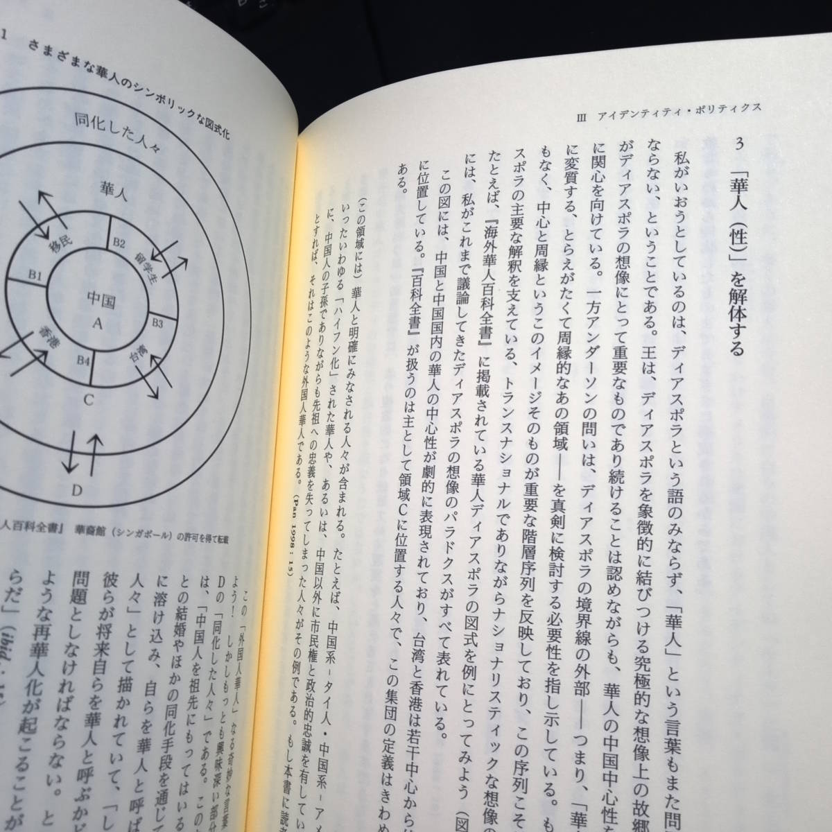 グローバリゼーションの文化政治　テッサ・モーリス＝スズキ・吉見俊哉_画像8