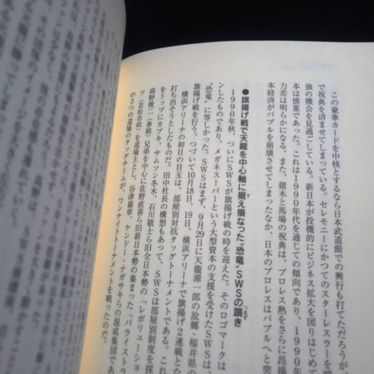 ★即決★三沢と橋本はなぜ死ななければならなかったのか 　西花池湖南　　ハードカバー_画像3