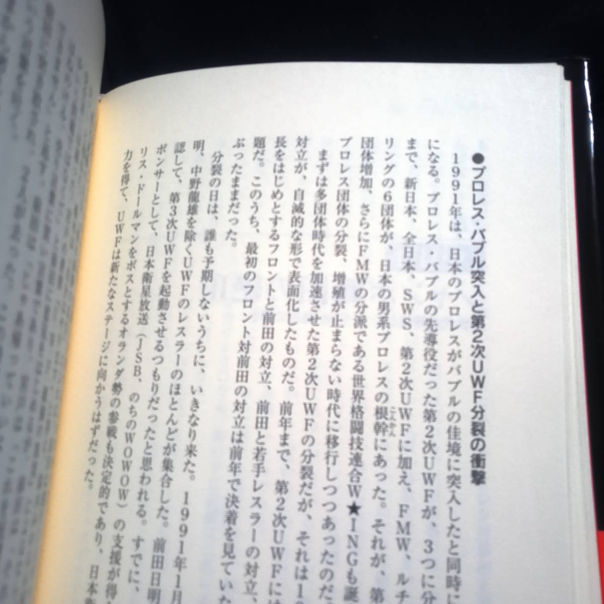 ★即決★三沢と橋本はなぜ死ななければならなかったのか 　西花池湖南　　ハードカバー_画像4