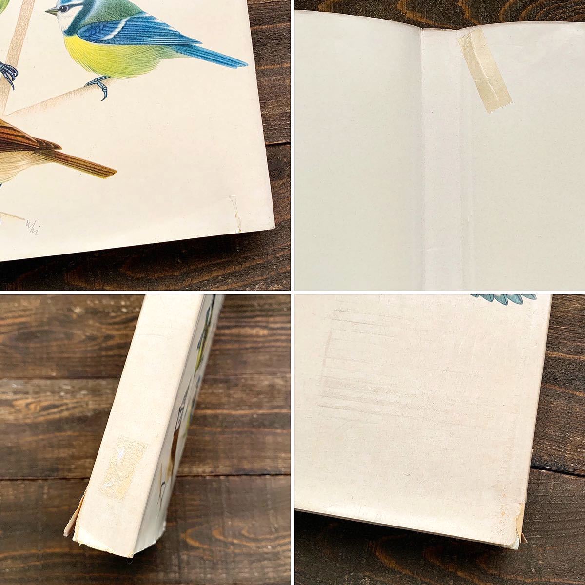 ドイツの古い鳥類図鑑(Alle Singvogel Europas 1971年)/アンティーク ヴィンテージ ヨーロッパ 鳥図鑑 鳥のイラスト 雰囲気◎/ 古書・古文書 ドイツの古い鳥類図鑑(Alle Singvogel Europas 1971年)/アンティーク ヴィンテージ ヨーロッパ 鳥図鑑 鳥のイラスト 雰囲気◎/ 古書・古文書