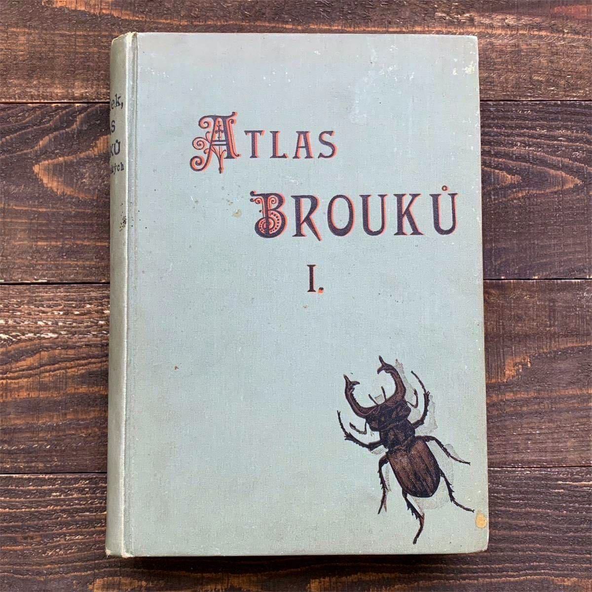 [562種類の美しい昆虫のリトグラフ]チェコの古い昆虫図鑑(ATLAS BROUKUⅠ1903年)/アンティーク ヴィンテージ ヨーロッパ 雰囲気◎/