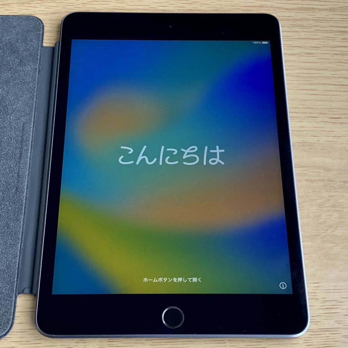 みです】 美品 iPad mini 第5世代 MUQW2J/A スペースグレイ 64GB Wi-Fi