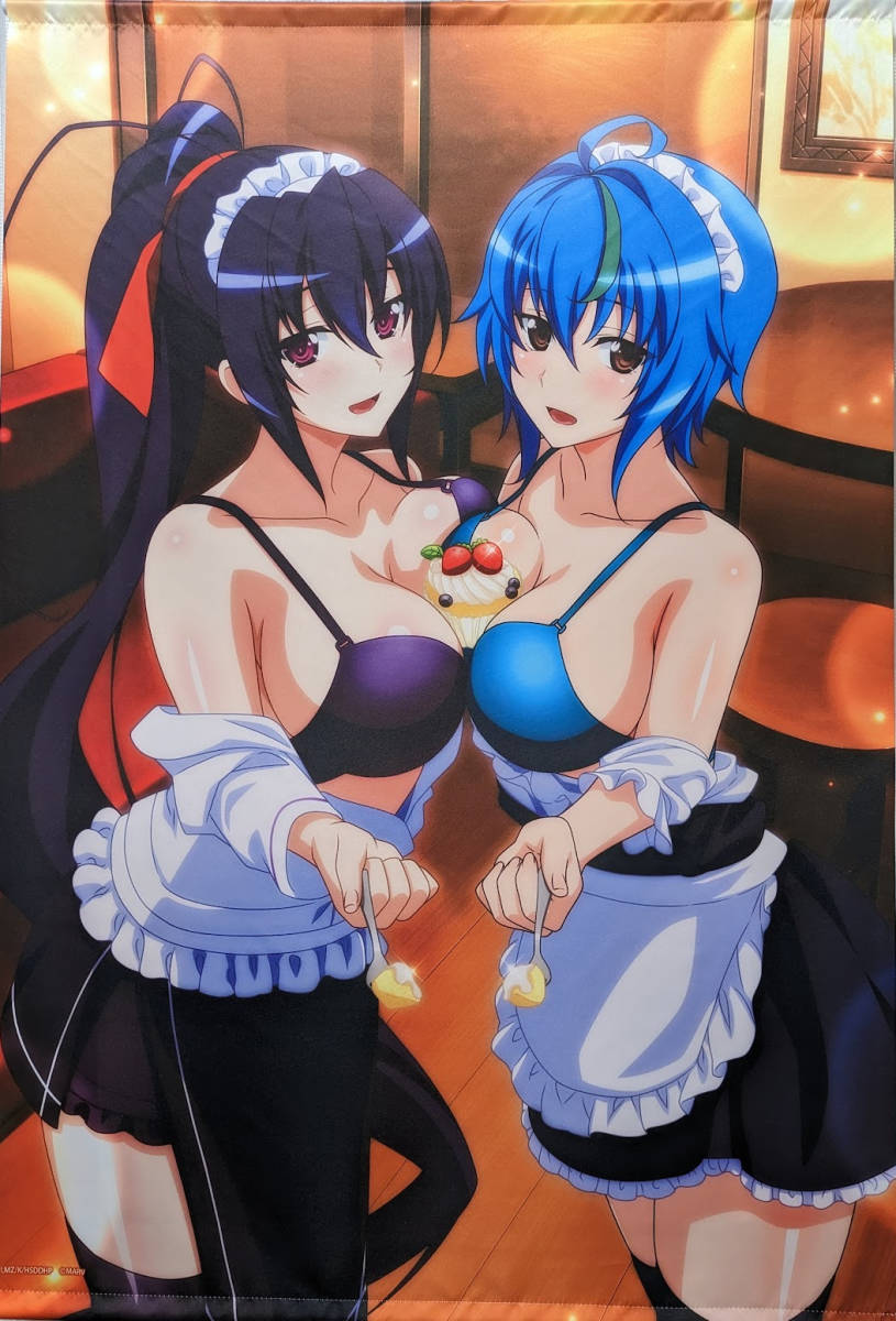 最終値下げ ハイスクールD×D B1タペストリー 姫島朱乃&ゼノヴィア A-2賞 ゲマくじ ウェブポン 第2弾 HERO タペストリー
