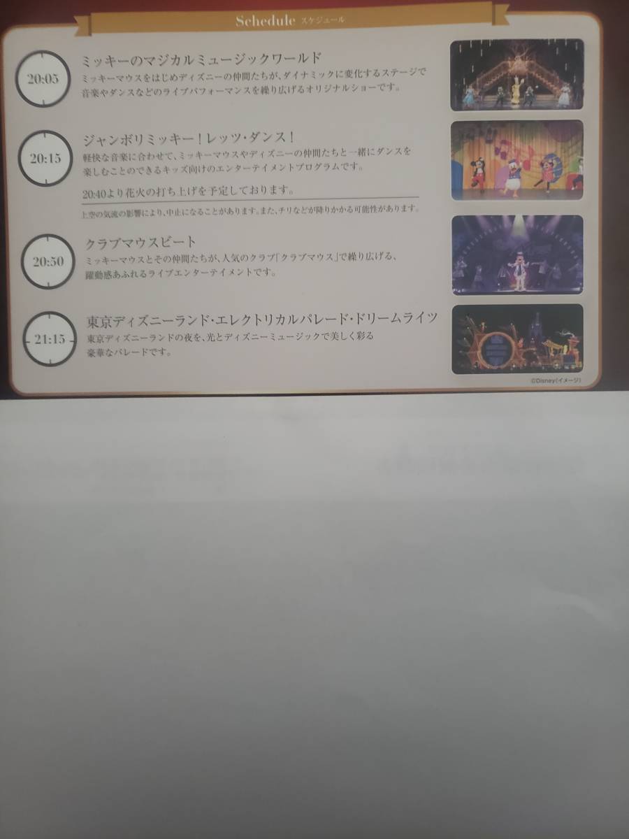 東京ディズニーランド 完全貸切イベントチケット1 3枚&記念