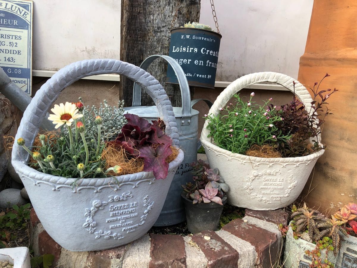 お値下げです 人気のキュートなバスケット型植木鉢 寄せ植え 庭 お値下げです 人気のキュートなバスケット型植木鉢 寄せ植え 庭