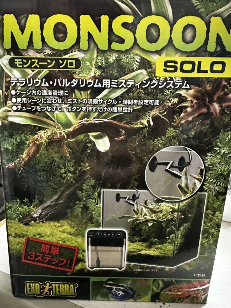 本物保証】 モンスーンソロ i9tmg.com.br