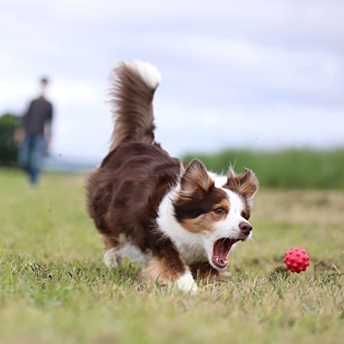 PLATZ PET SUPPLISES&FUN(プラッツ) 犬用おもちゃ アトミックボール Lサイズ レッド_画像5