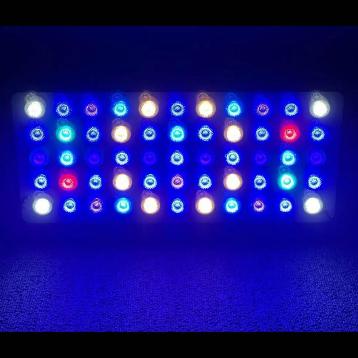 珊瑚水槽照明 LEDライト ブラックボックス PSE技術基準適合 プリズム