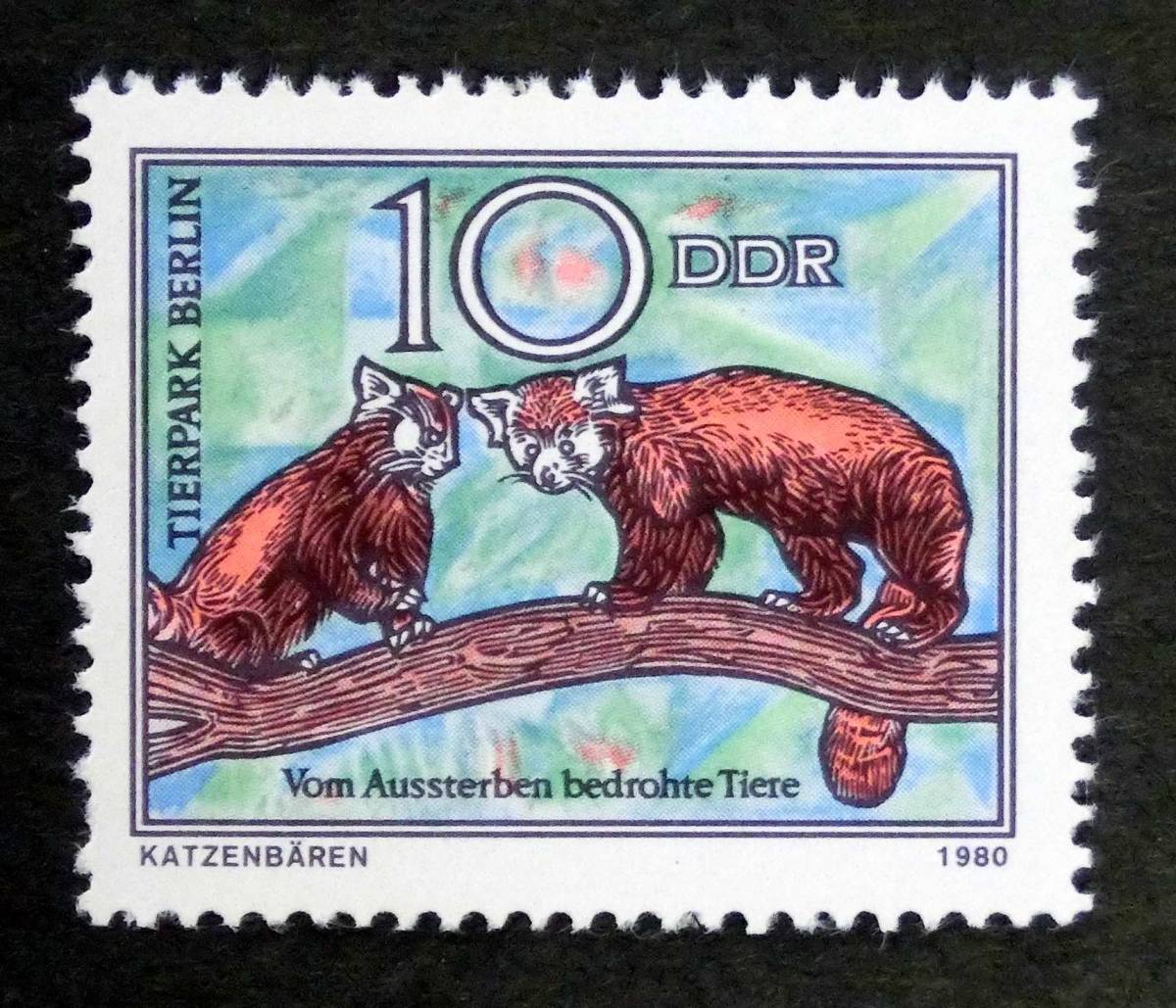 ドイツ切手　ドイツ民主共和国切手　DDR　Lesser Panda 　パンダ　10 Pf.　1980-06-24　H65377_画像1