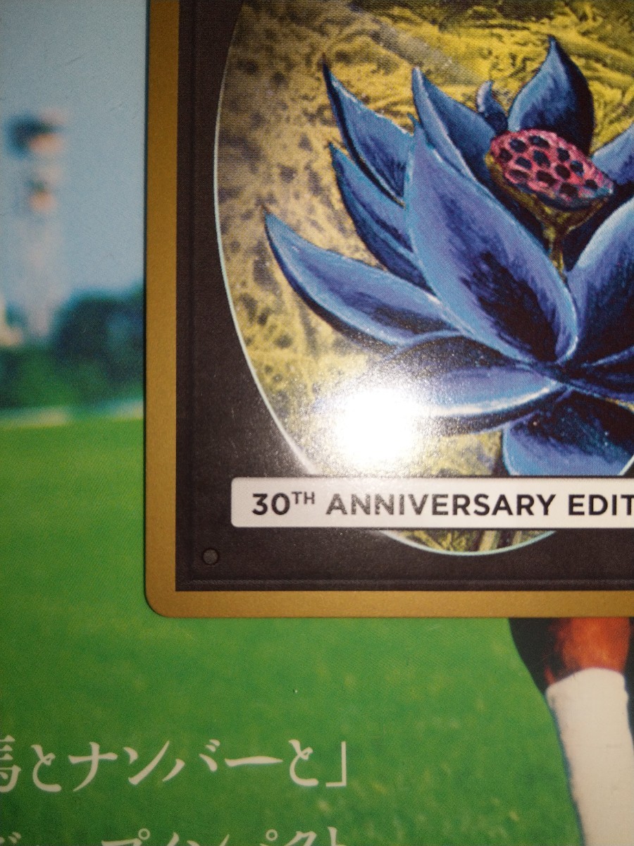 送料無料】 マジック・ザ・ギャザリング 30th Anniversary Edition