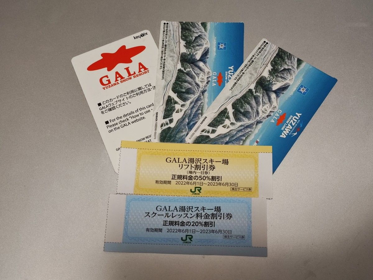 ガーラ湯沢リフト券 1日券 2枚セット - スキー場