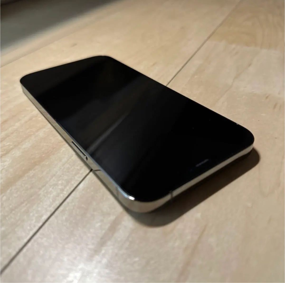 iPhone 12 Pro Max 256GB グラファイト | www.livusinc.com.br