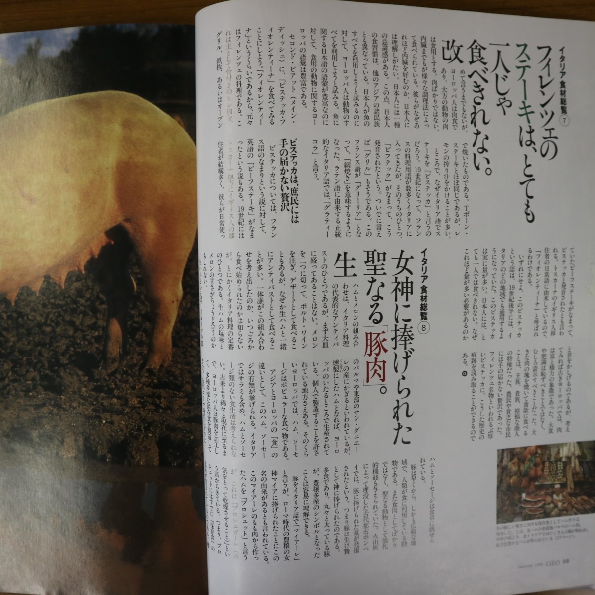 特2 51146 / 地球発見マガジン GEO［ジオ］1996年12月号 特集:イタリアを召しあがれ。 ルーヴル美術館の秘密 インド胡椒海岸をゆく_画像5