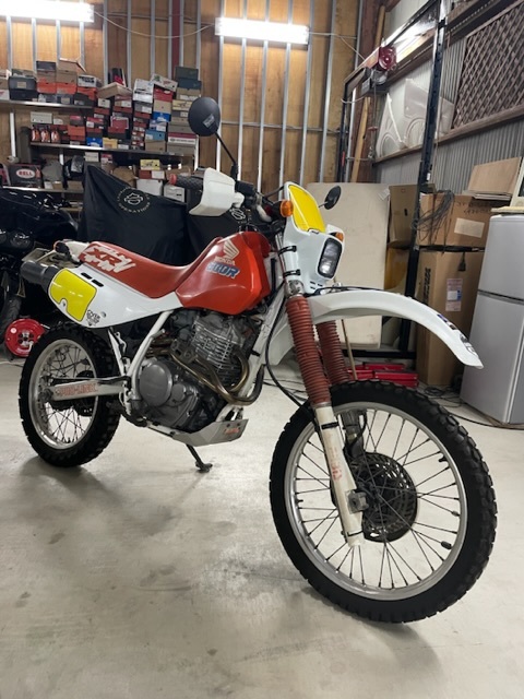 Honda 1985 Motocross XR600R удален! ! Honda 600r Garage Storage! ! Невероятно редкий