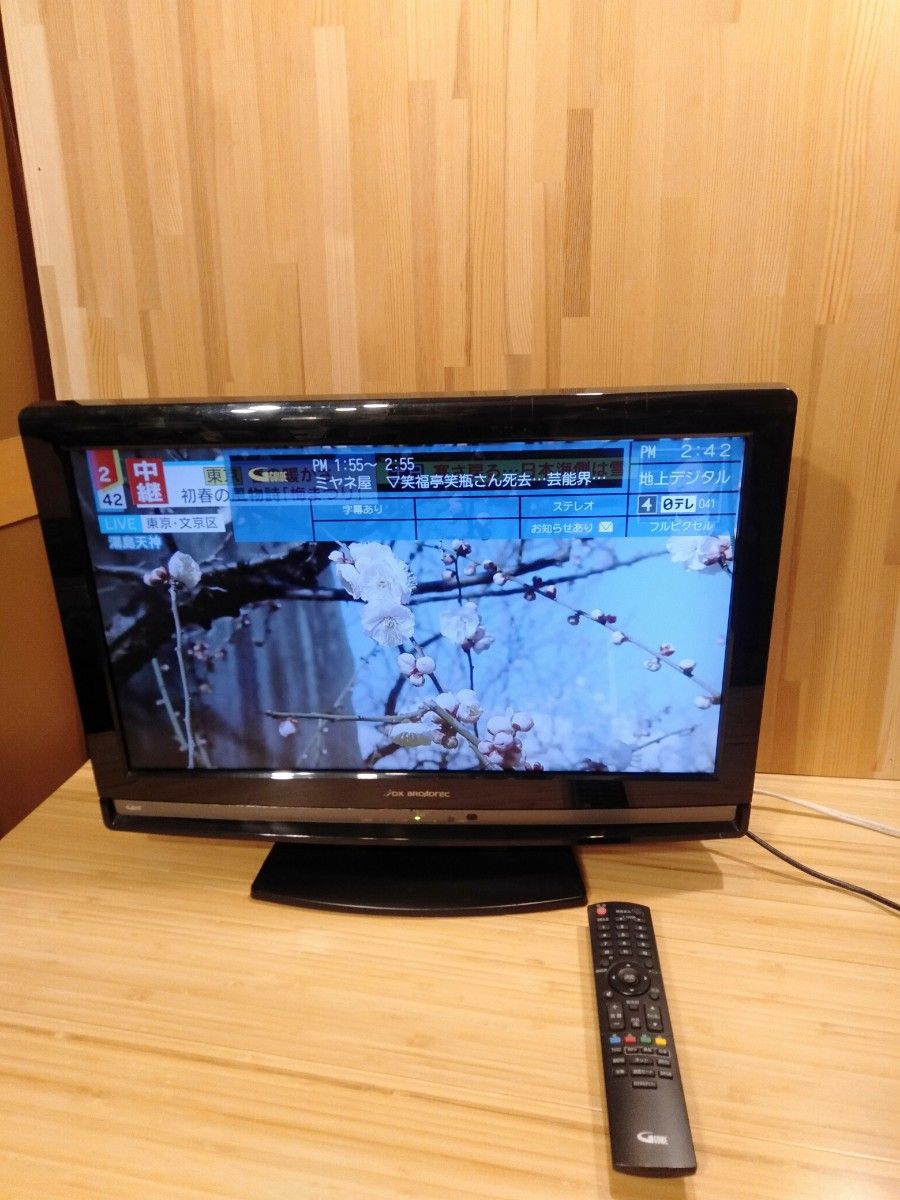 液晶テレビ 22インチ LVW-224T - テレビ