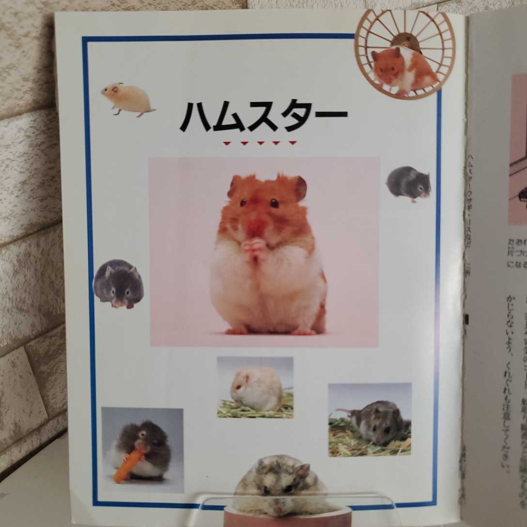  price cut hamster * rabbit * squirrel etc.. .. person Junior library breeding book@ all 207 page morumoto pre Lead g ferret other 