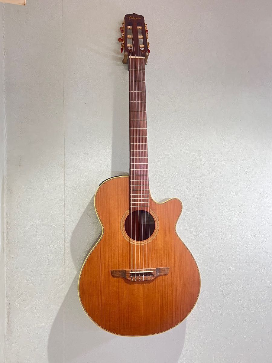 Takamine NPT-110N 楽器、器材 ギター www.unionsanfelipe.com