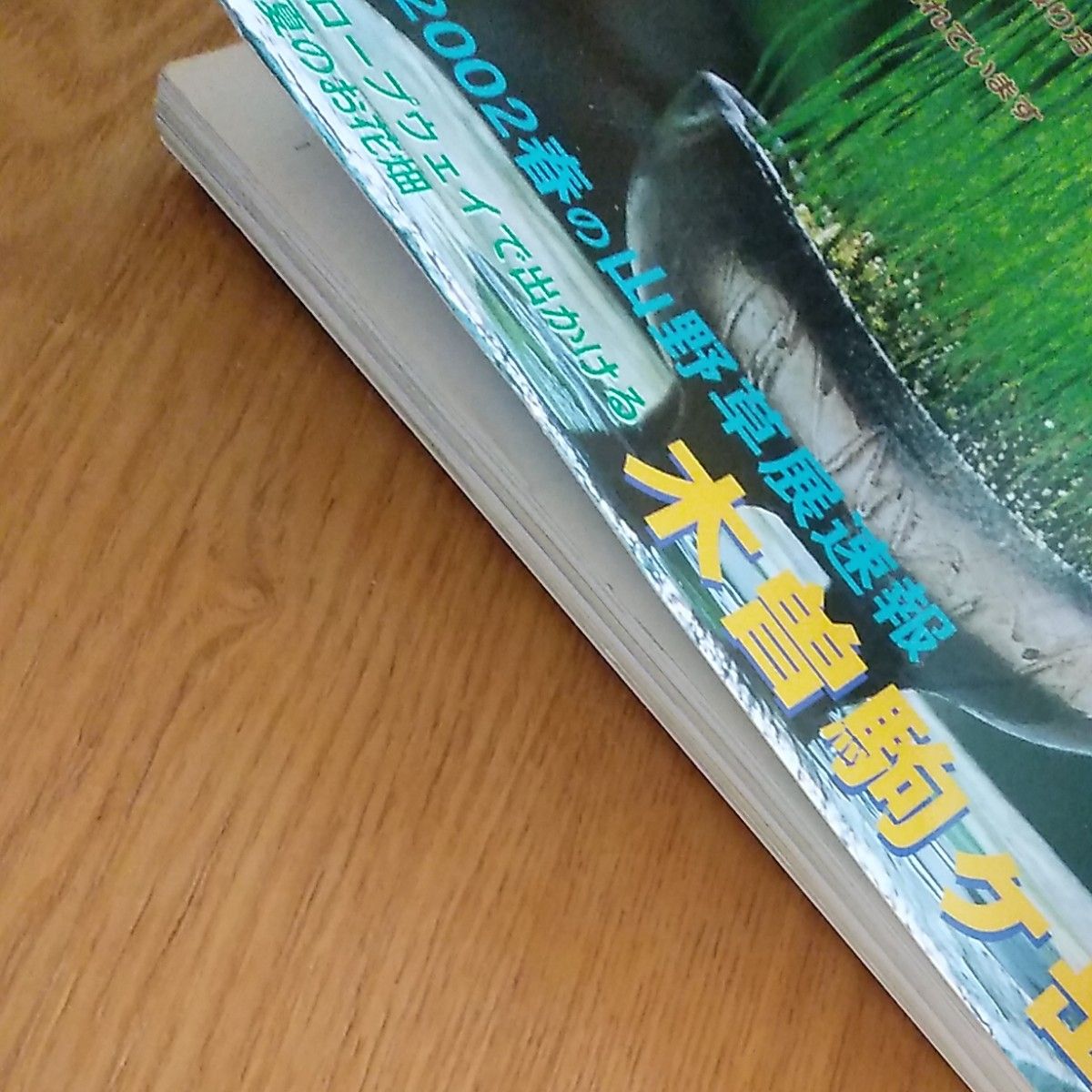 趣味の山野草　2002年7月号　木曽駒ヶ岳