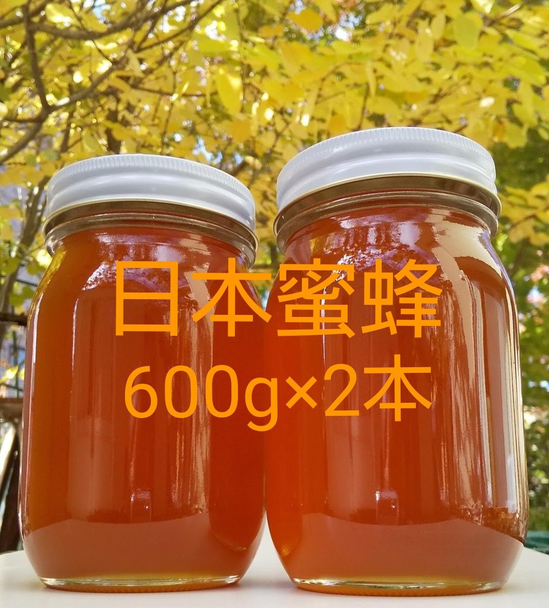 日本蜜蜂(秋採れ熟成生蜂蜜)1200g(600g×2本) 純粋蜂蜜 非加熱-
