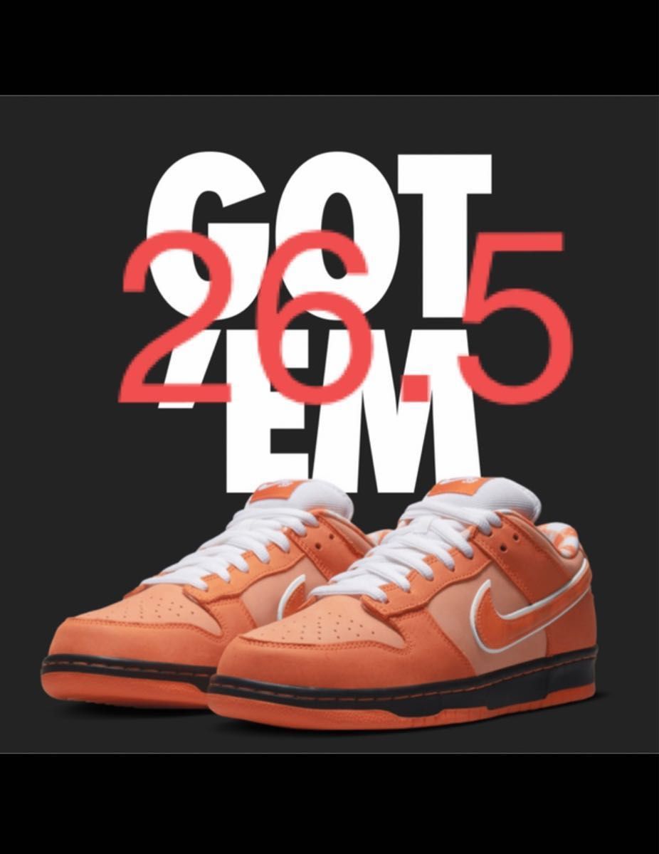 Concepts × Nike SB Dunk Low SP