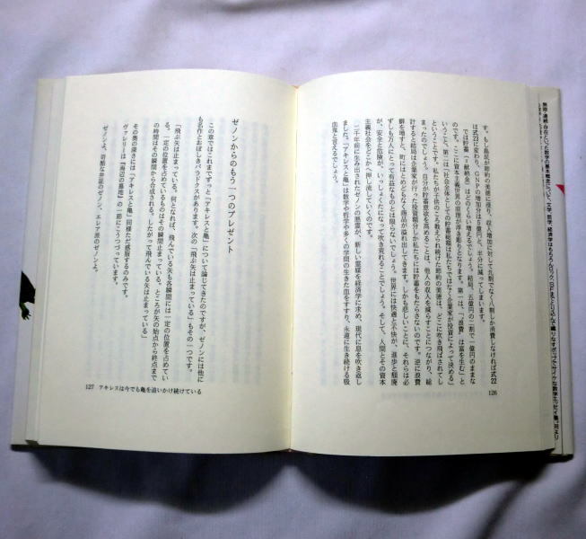 「数学迷宮―メタファーの花園に咲いた一輪のあじさいとしての数学」小島寛之　数学エッセイ カントールとクロネッカー_画像2