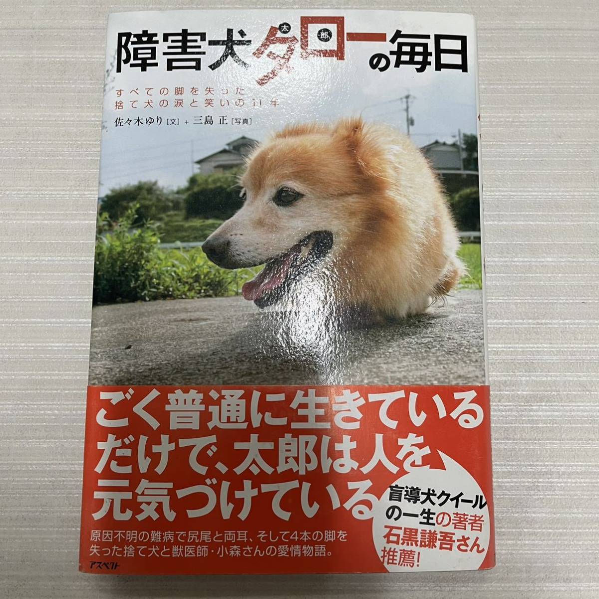 obstacle dog ta low ( Taro ). every day : all. legs .... discard dog. tears . laughing .. 11 year Sasaki .. Mishima regular 