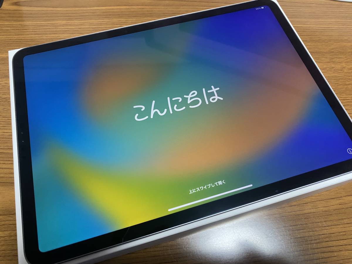 Apple iPad pro 11インチ(第1世代) Wifiモデル64GB 整備品
