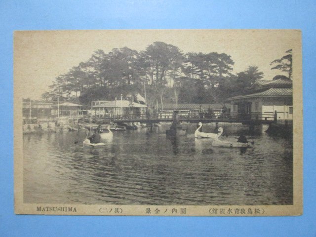 b2363松島教育水族館園内の全景絵葉書　　宮城県_画像1