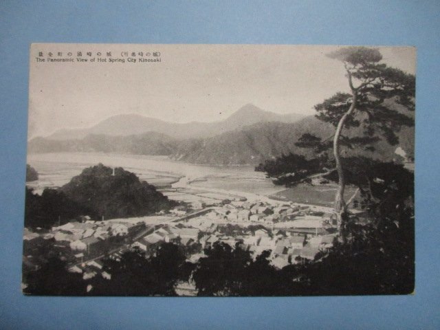 b2997兵庫県城の崎名所温の町全景絵葉書_画像1