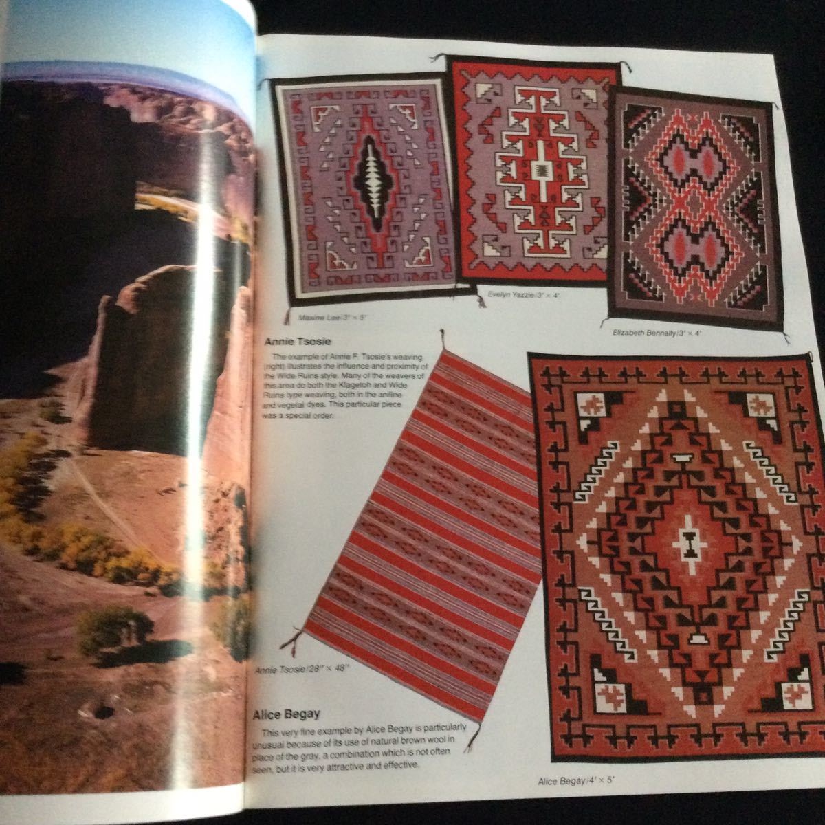  Indian Navajo foreign book woven thing design English book@ Native American nNavajo weaving