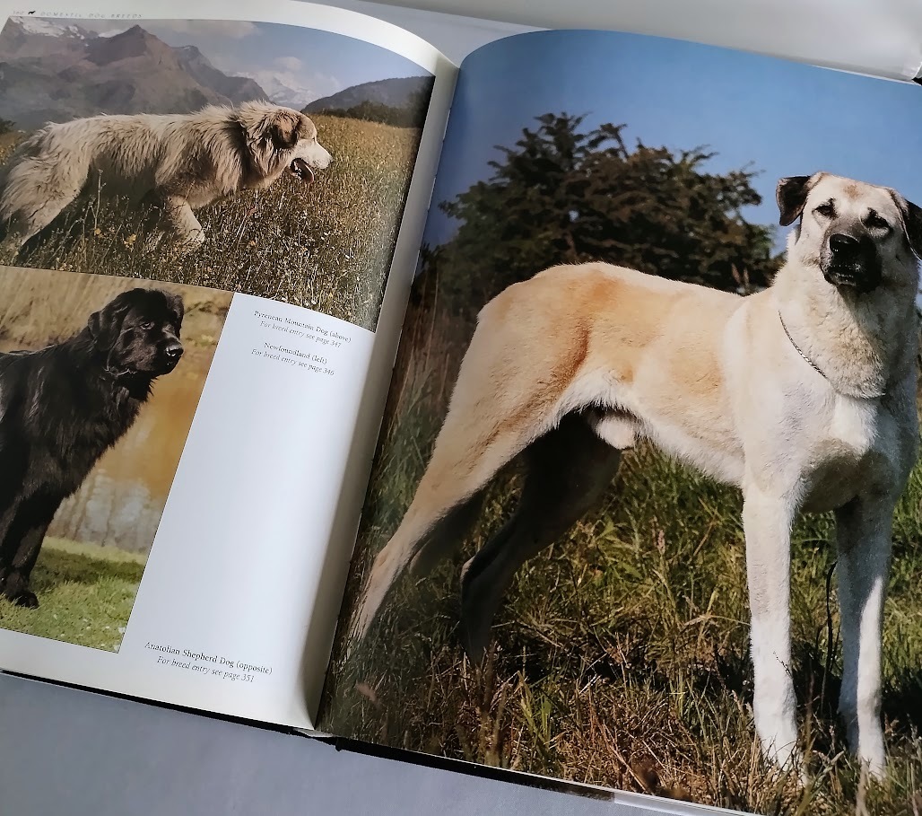 * including carriage [New Encyclopedia of the Dog] dog. encyclopedia hard cover *[ foreign book ]