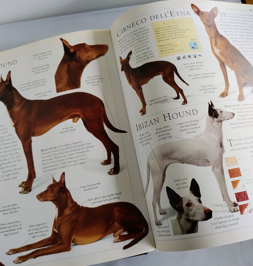 * including carriage [New Encyclopedia of the Dog] dog. encyclopedia hard cover *[ foreign book ]